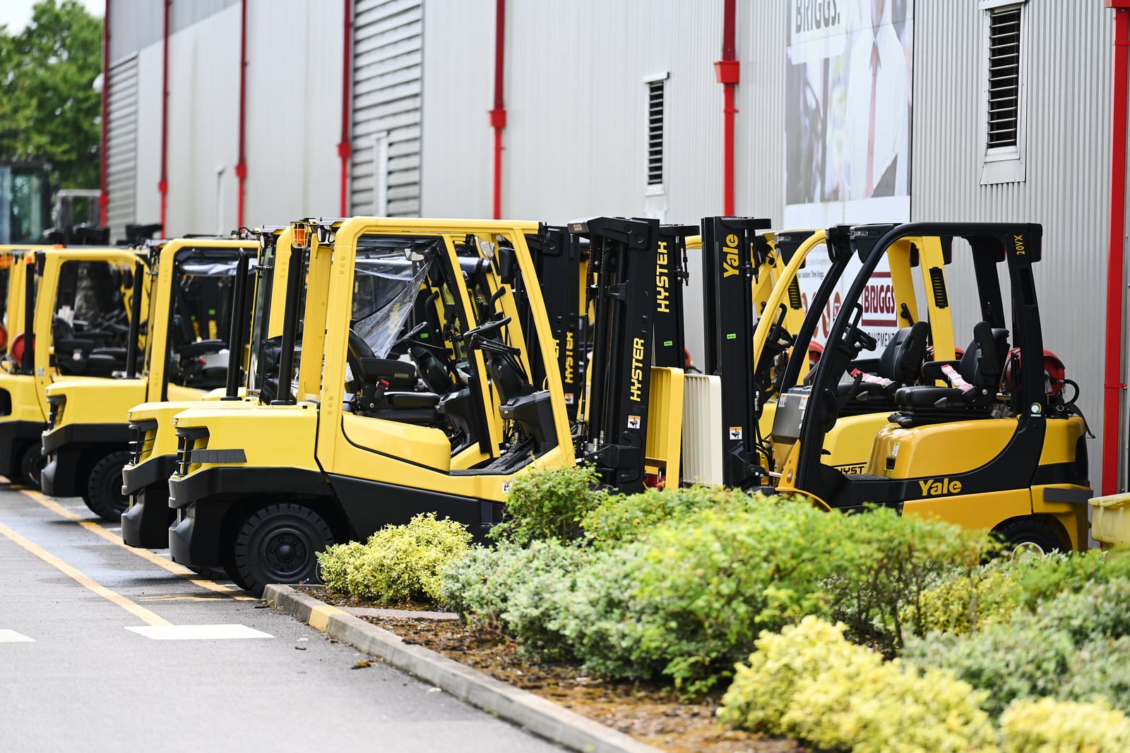 Hyster and Yale forklifts parked in rows outside